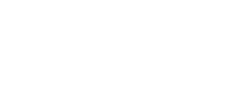 My Women's Clothing Store